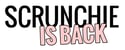logo_scrunchie_is_back_360x